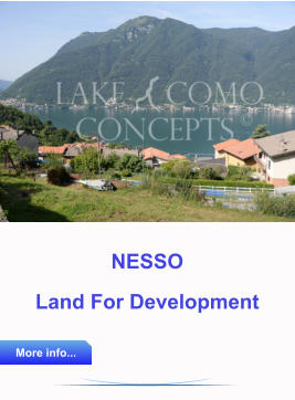 Lake Como Concepts lake como property 